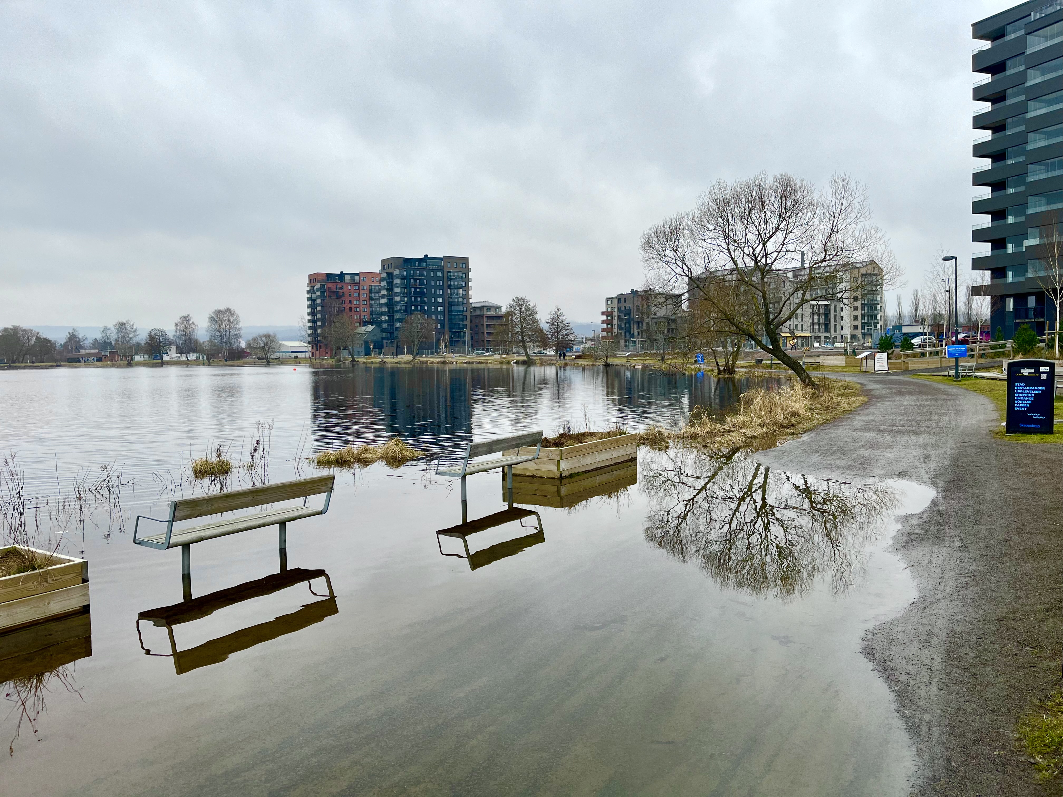 Två parkbänkar ser ut att stå ute i Munksjön på grund av den höga vattennivån.