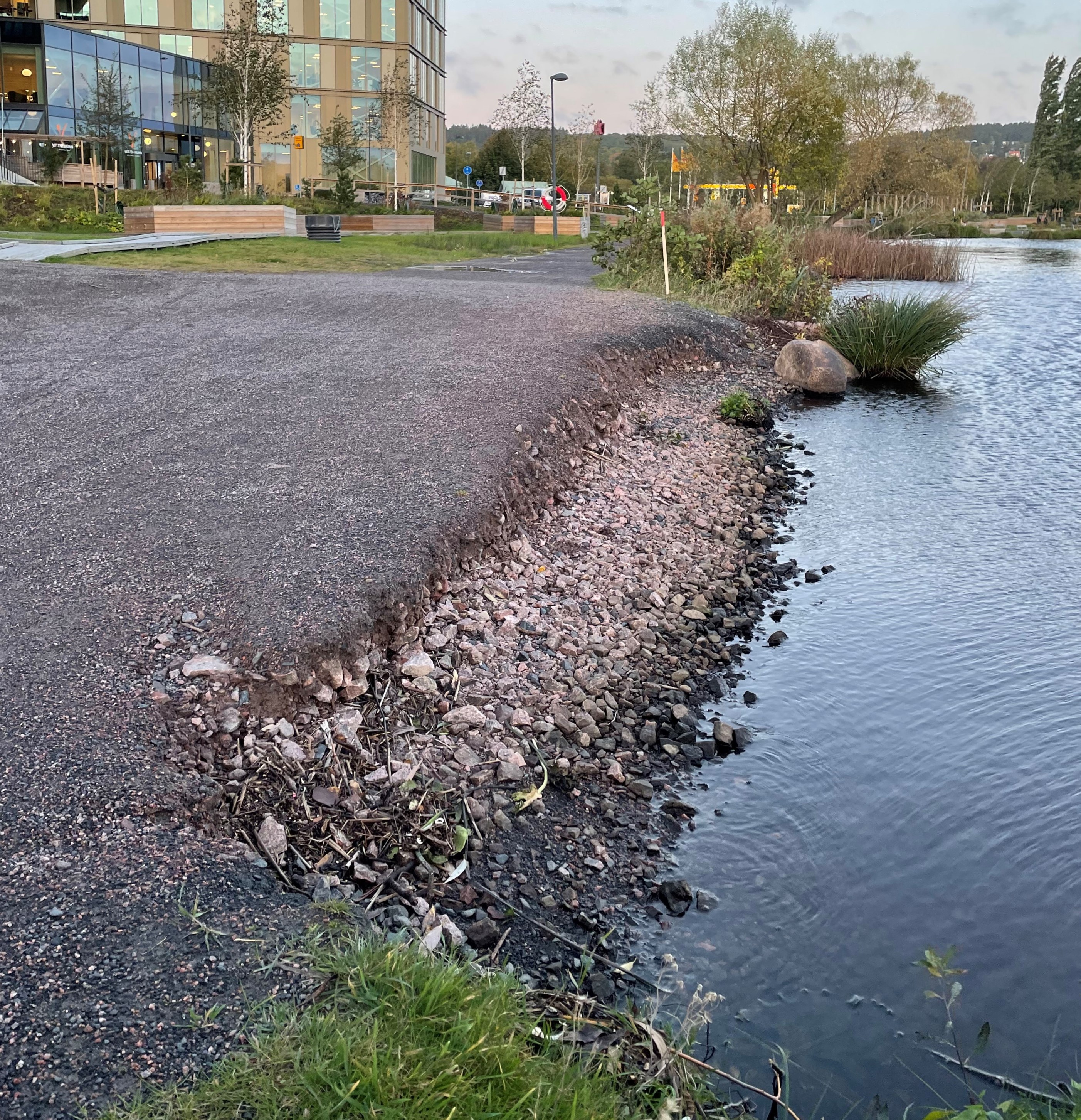 Grusvägen på Hälsans stig. På bilden ser du hur strandkanten börjat kasa ner i vattnet i Munksjön. Det har blivit en skarp kant från gruset på marken, ner i vattnet.