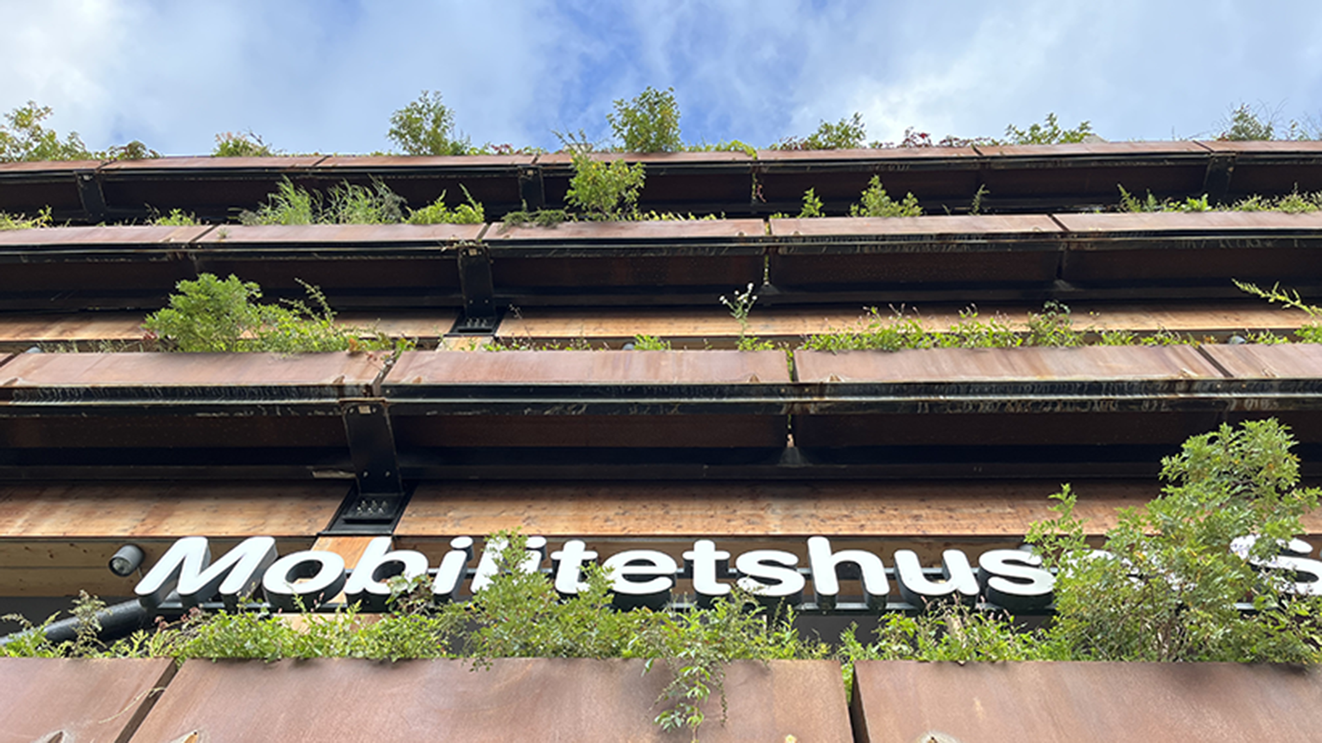 Husfasad av kortenplåt. Ur plåtarna slingrar sig gröna växtern