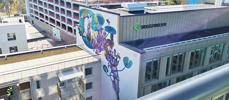 En stor muralmålning som finns på Skogsstyrelsens vägg i kvarter 3. Målningen föreställer en utter med massa blommor i starka färger.