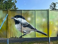 Muralmålning på en fågel