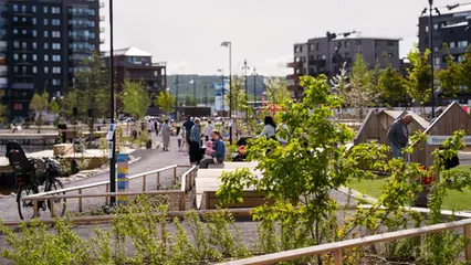 Gata med blomlådor med växter i. Ett svart hus syns till höger.