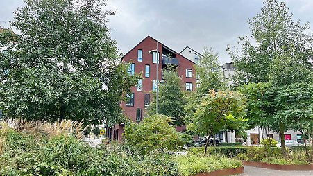 Ett rött tegelhus skymtar bakom gröna träd och planteringar i en park